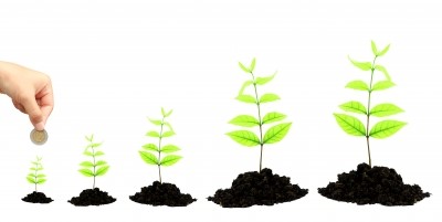 How and Why I Grow and Share Wealth with Every Textile Painting I Sell